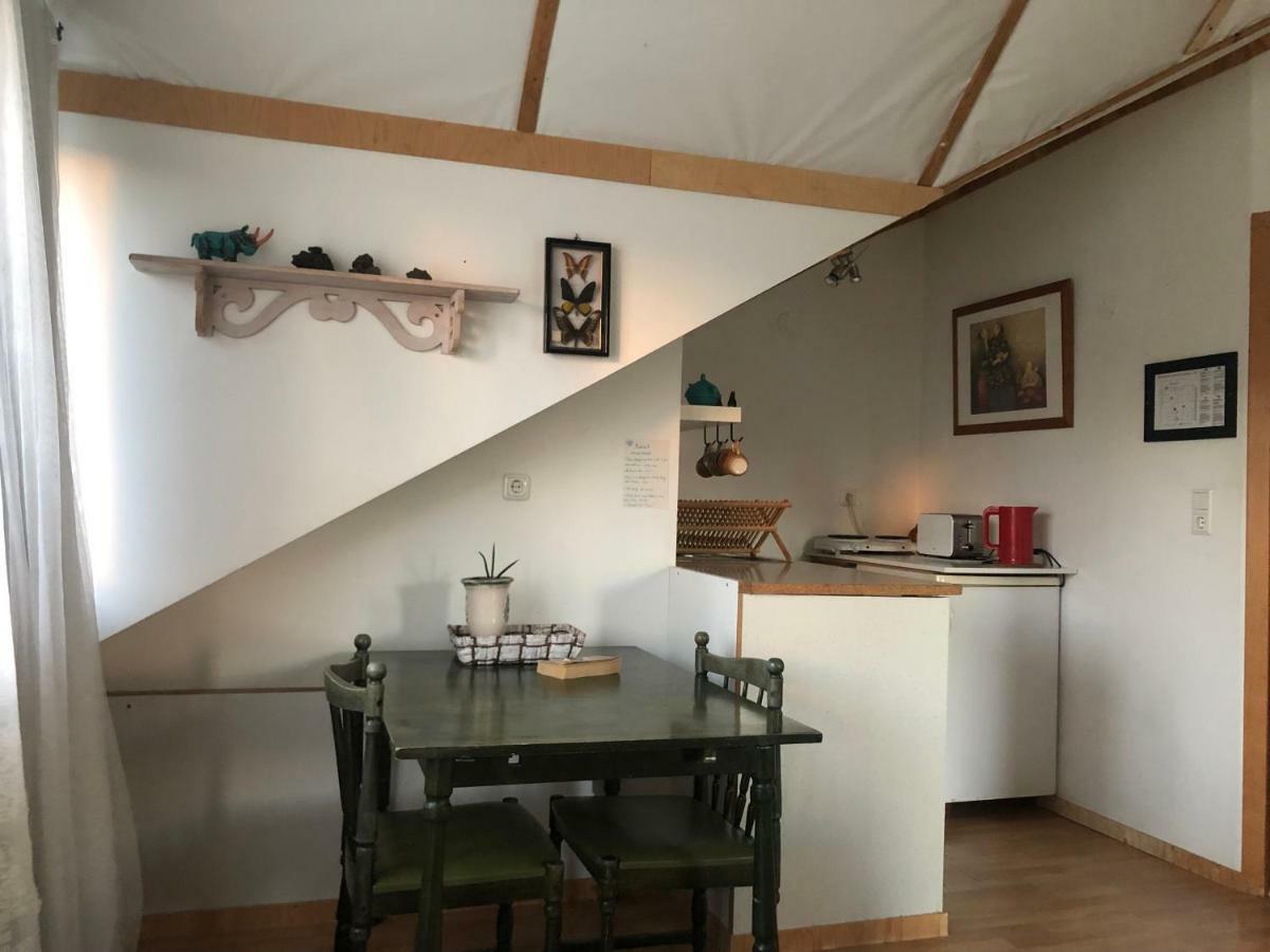 Zoei'S Place Gasthof Reykjavík