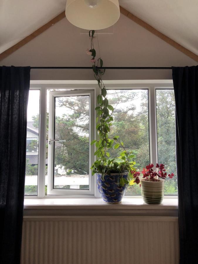 Gasthof Zoei'S Place