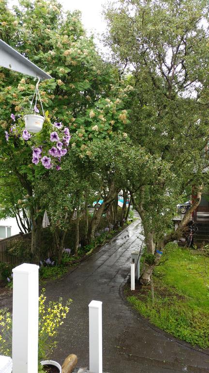 Zoei'S Place Guest house