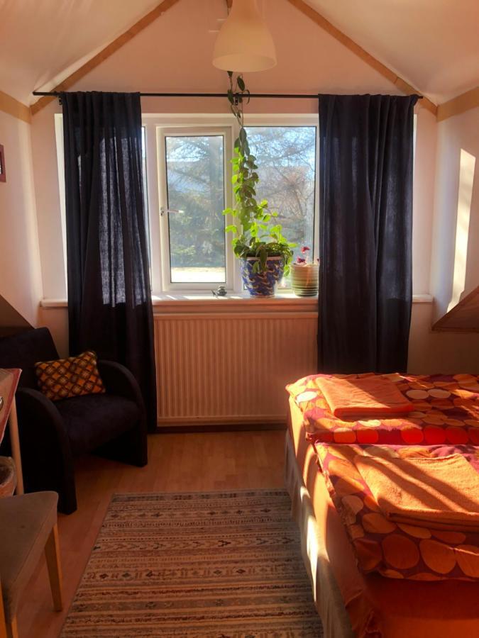 Zoei'S Place * Reykjavik